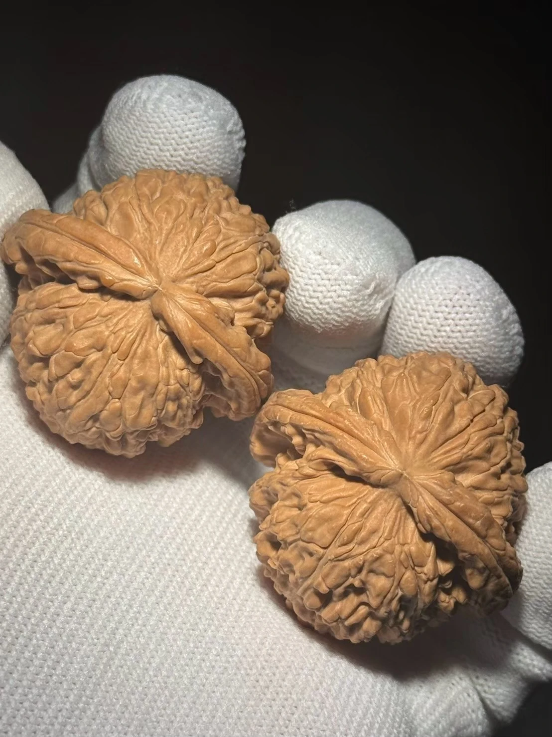 上善文玩】42/41/32全品•白獅子(BS244203) 現貨｜上善文玩上善若水文玩