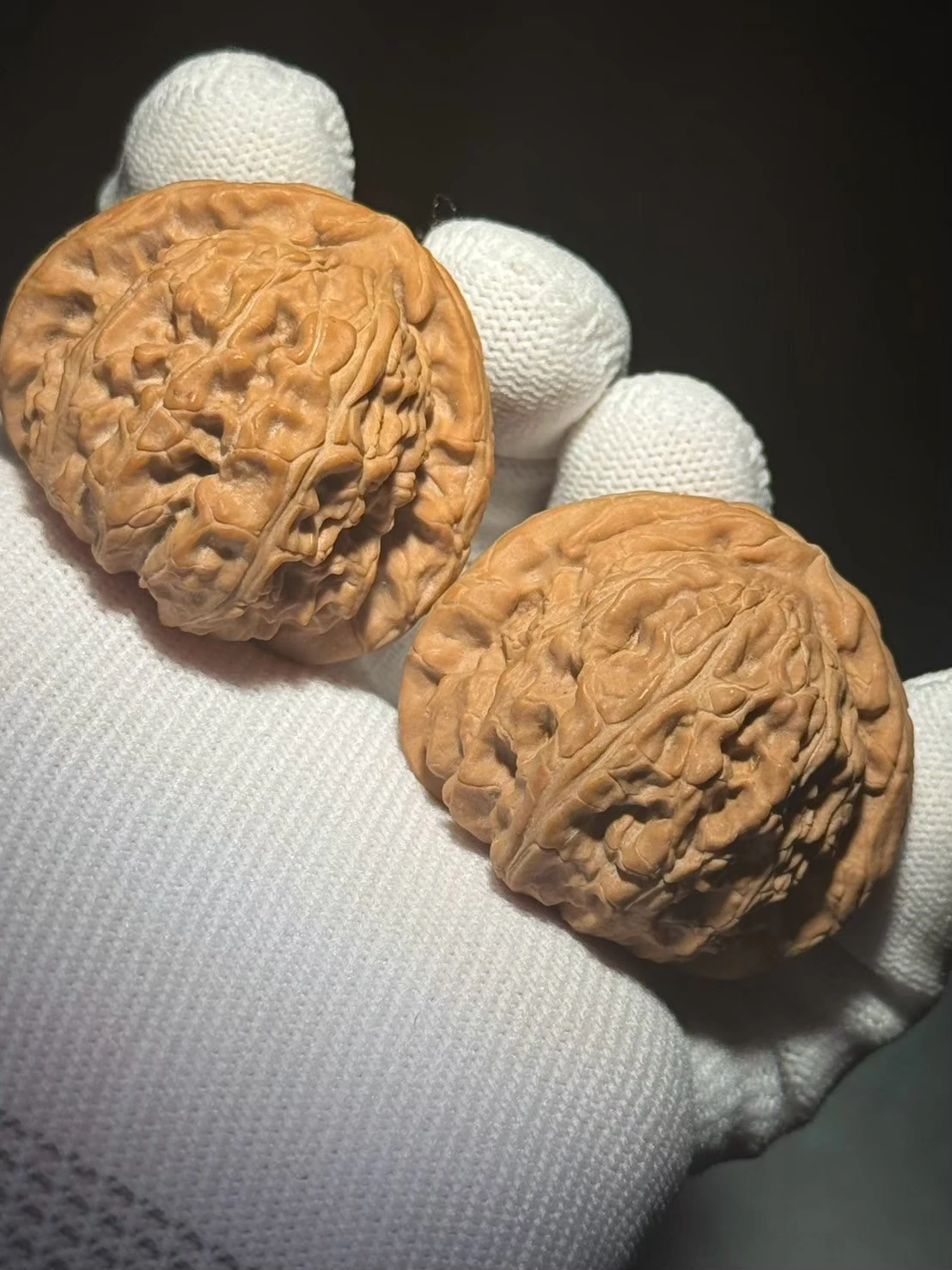 上善文玩】43/43/35全品•白獅子( BS244301)現貨｜上善文玩上善若水文玩