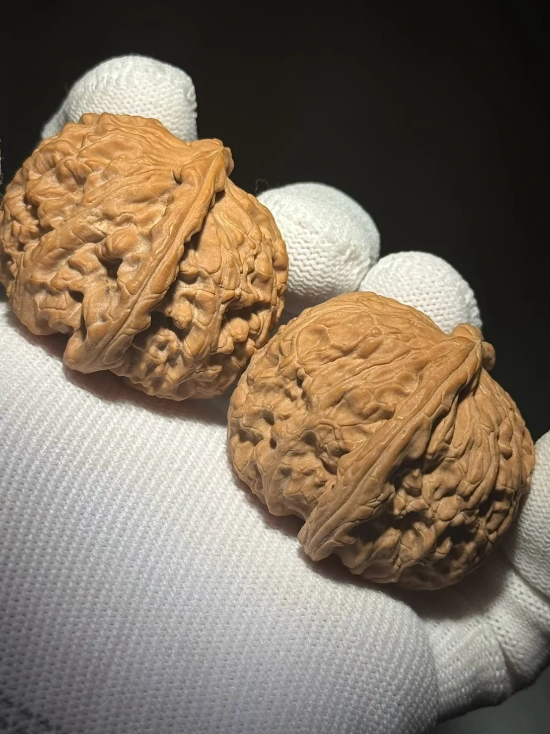 大粗筋狮子头 43尺 白狮子三棱大奔精品43狮子头异形三四棱全品老