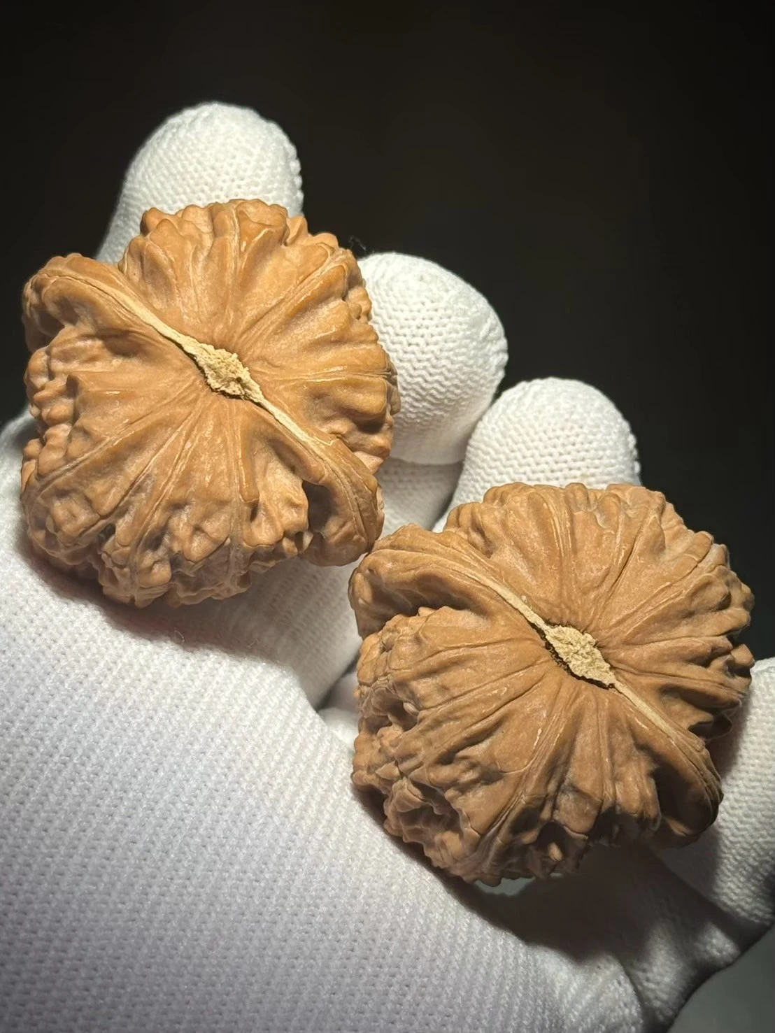 文玩核桃 白獅子 3844_68141dd6e0053.jpg.webp