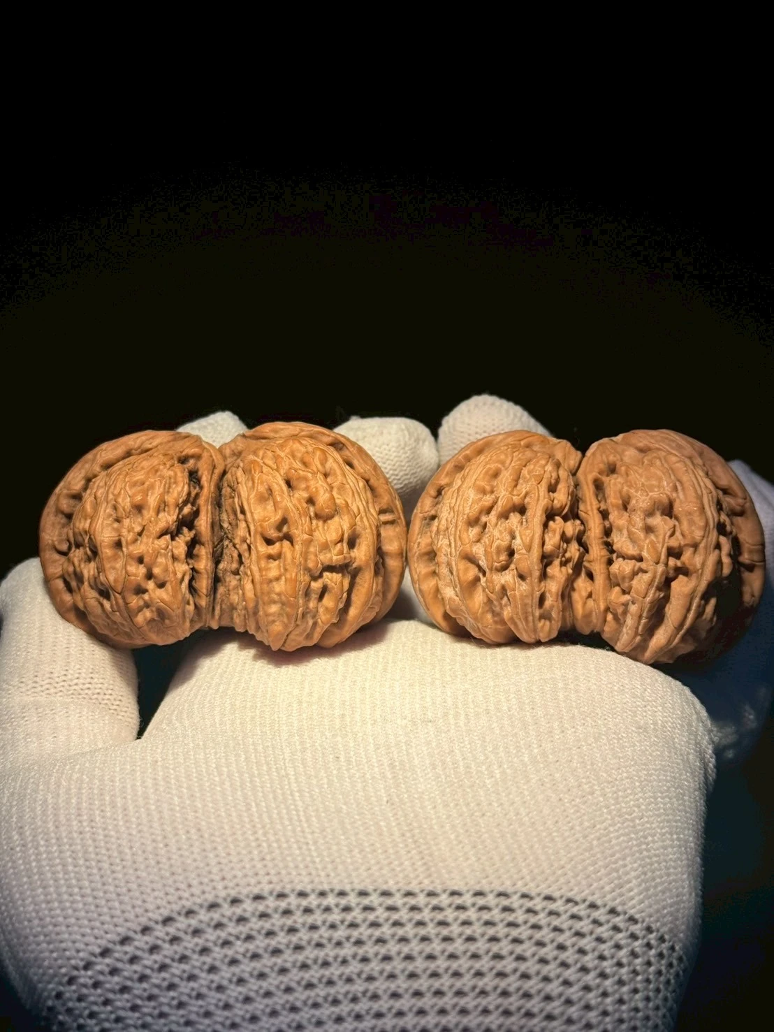 59/46/36 收藏級別"小水尖"全品 白獅子連體