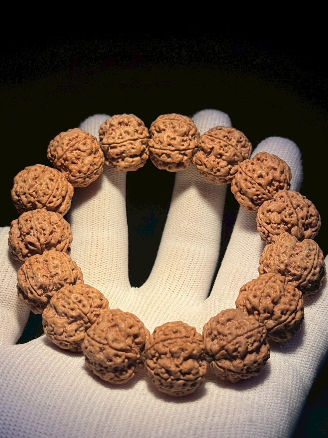 原生態,金剛菩提,文玩精品,大金剛,凹底雙龍,文玩金剛,收藏文玩,盤玩上