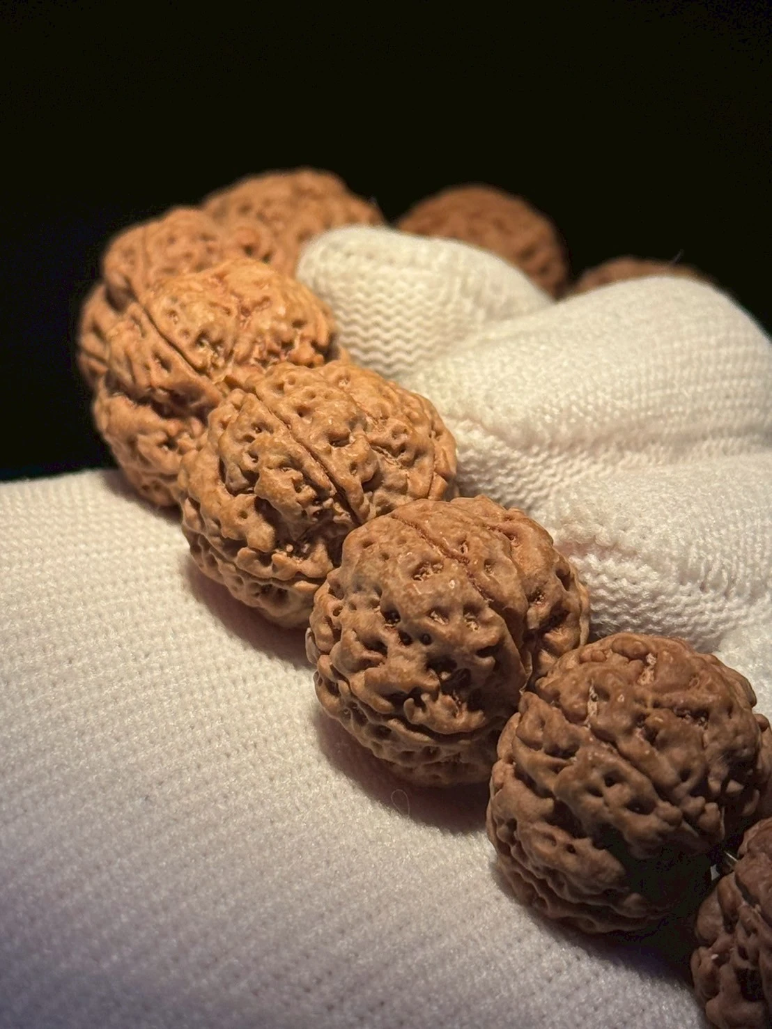 原生態,金剛菩提,文玩精品,大金剛,凹底雙龍,文玩金剛,收藏文玩,盤玩上