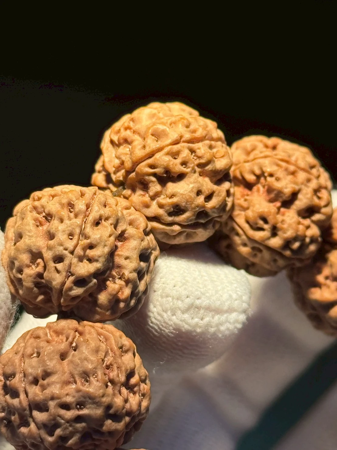 原生態,金剛菩提,文玩精品,大金剛,凹底雙龍,文玩金剛,收藏文玩,盤玩上