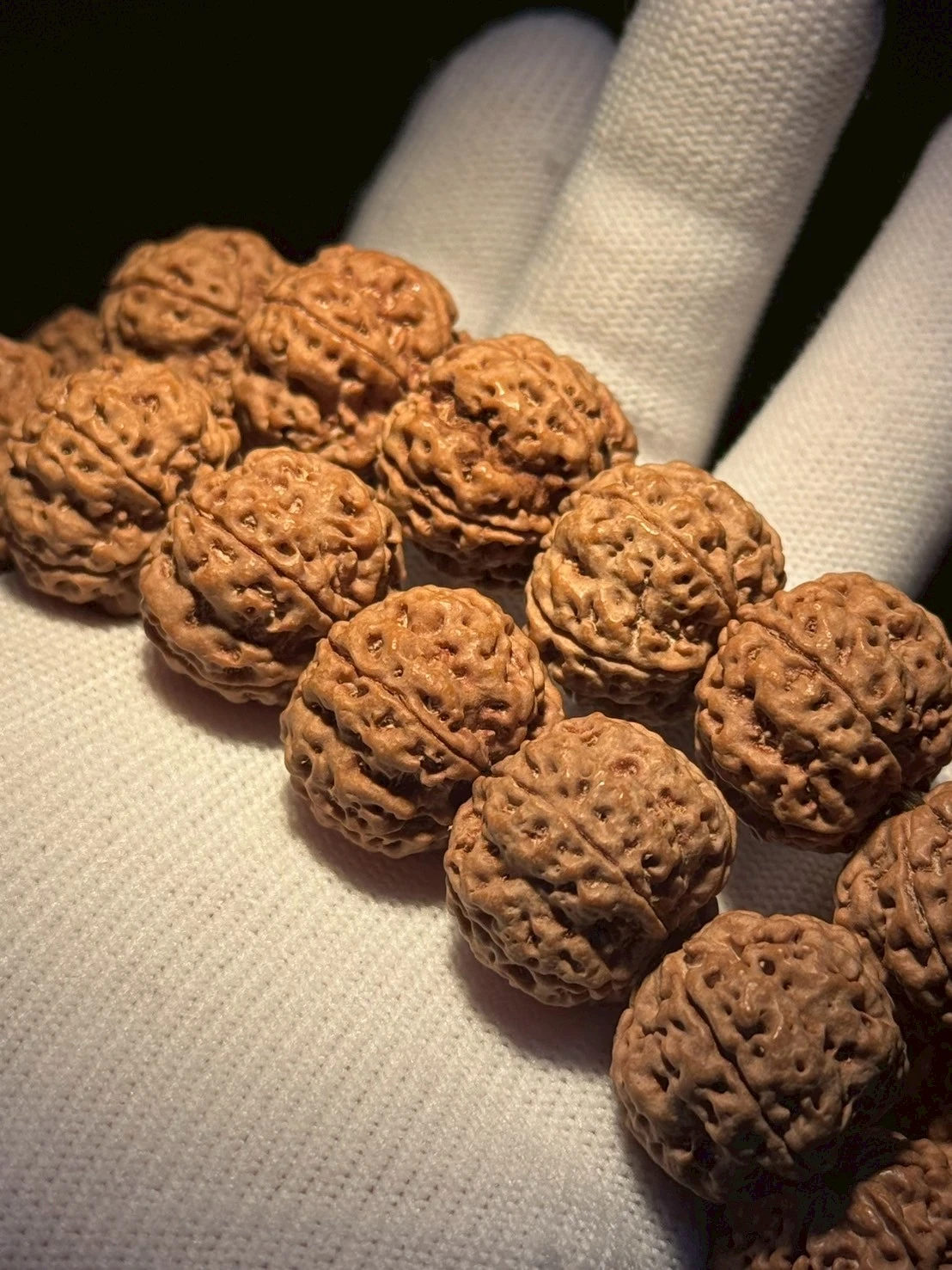 原生態,金剛菩提,文玩精品,大金剛,凹底雙龍,文玩金剛,收藏文玩,盤玩上