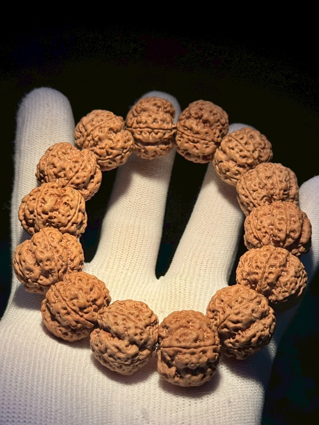 18*22原生態凹底雙龍紋大金剛