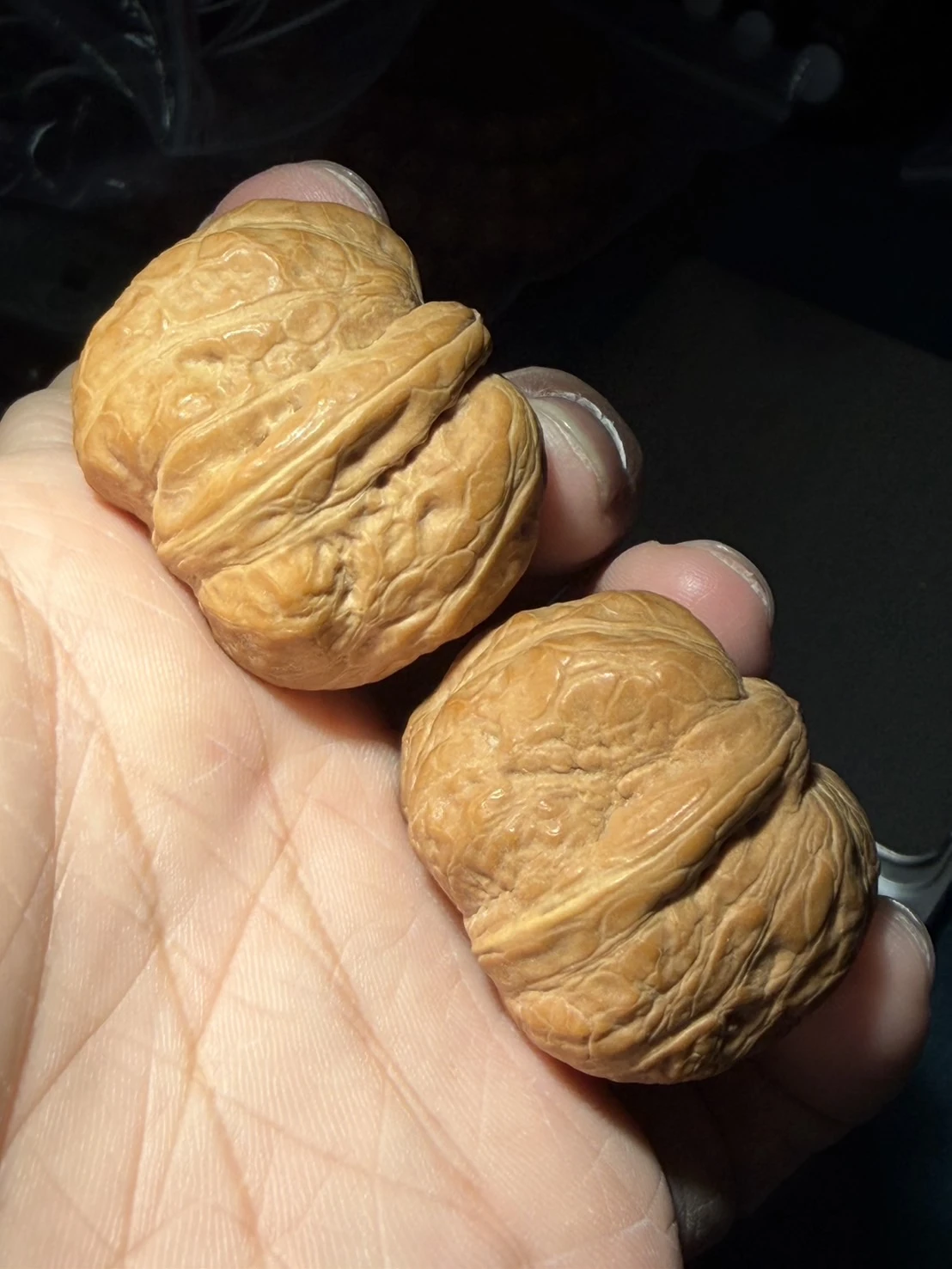 文玩核桃上善文玩工作室｜台灣文玩專賣店