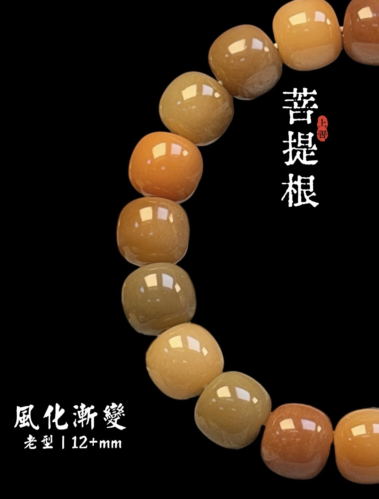 ［上善文玩 ］尺寸12+mm｜原生態漸變多風化多寶菩提根老型單圈｜約19顆｜手圍18