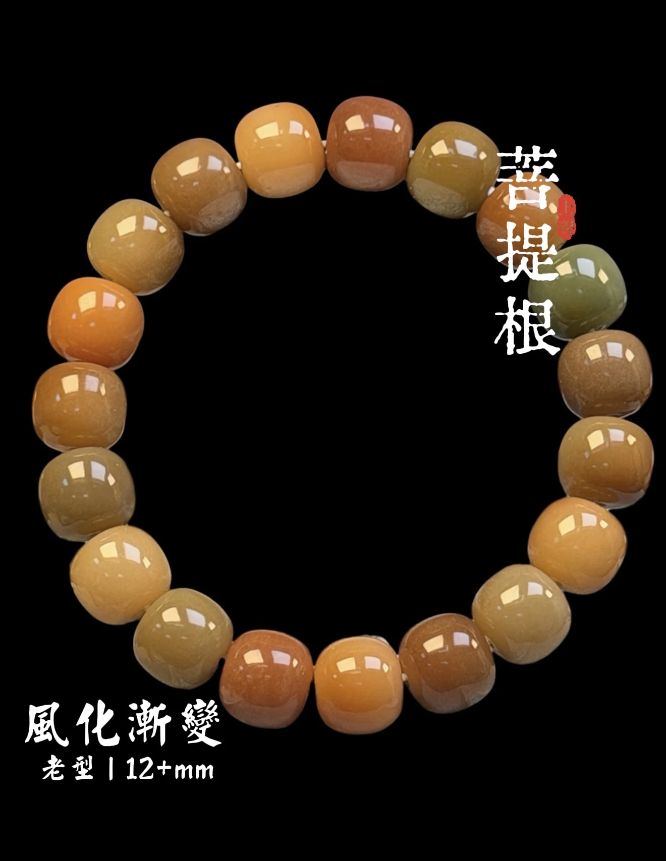 ［上善文玩 ］尺寸12+mm｜原生態漸變多風化多寶菩提根老型單圈｜約19顆｜手圍18
