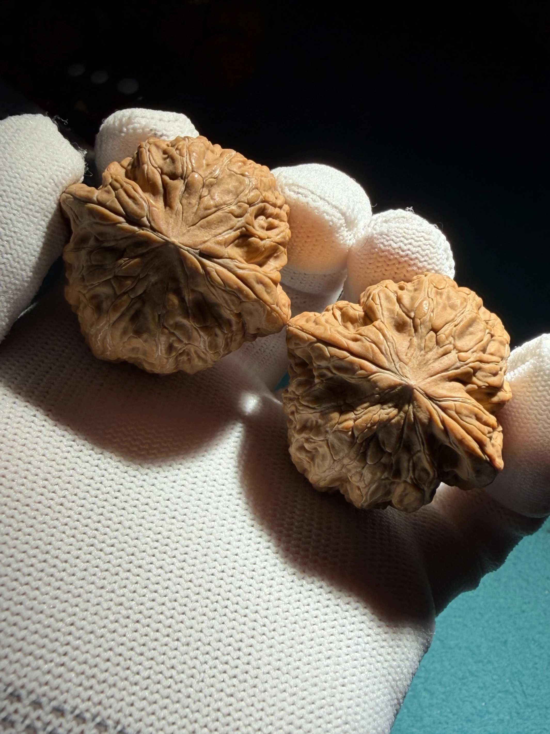 [ 上善文玩 ] 尺寸40/40/37｜ [ 全品 ] 頭貨·鐵錘｜克重43.8｜(tc254001)