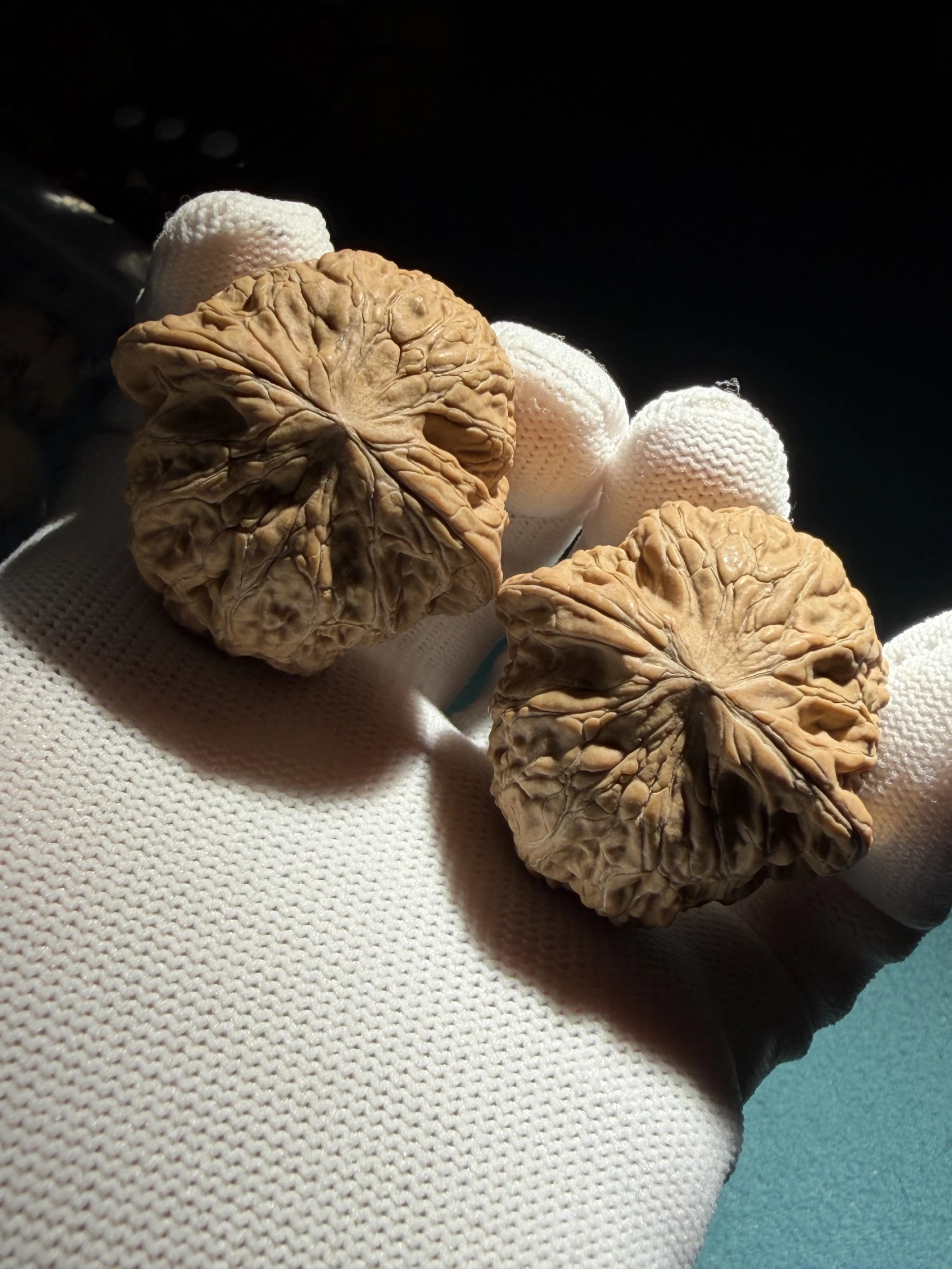 [ 上善文玩 ] 尺寸40/39/34｜ [ 全品 ] 頭貨·鐵錘｜克重43.4｜(tc254004)