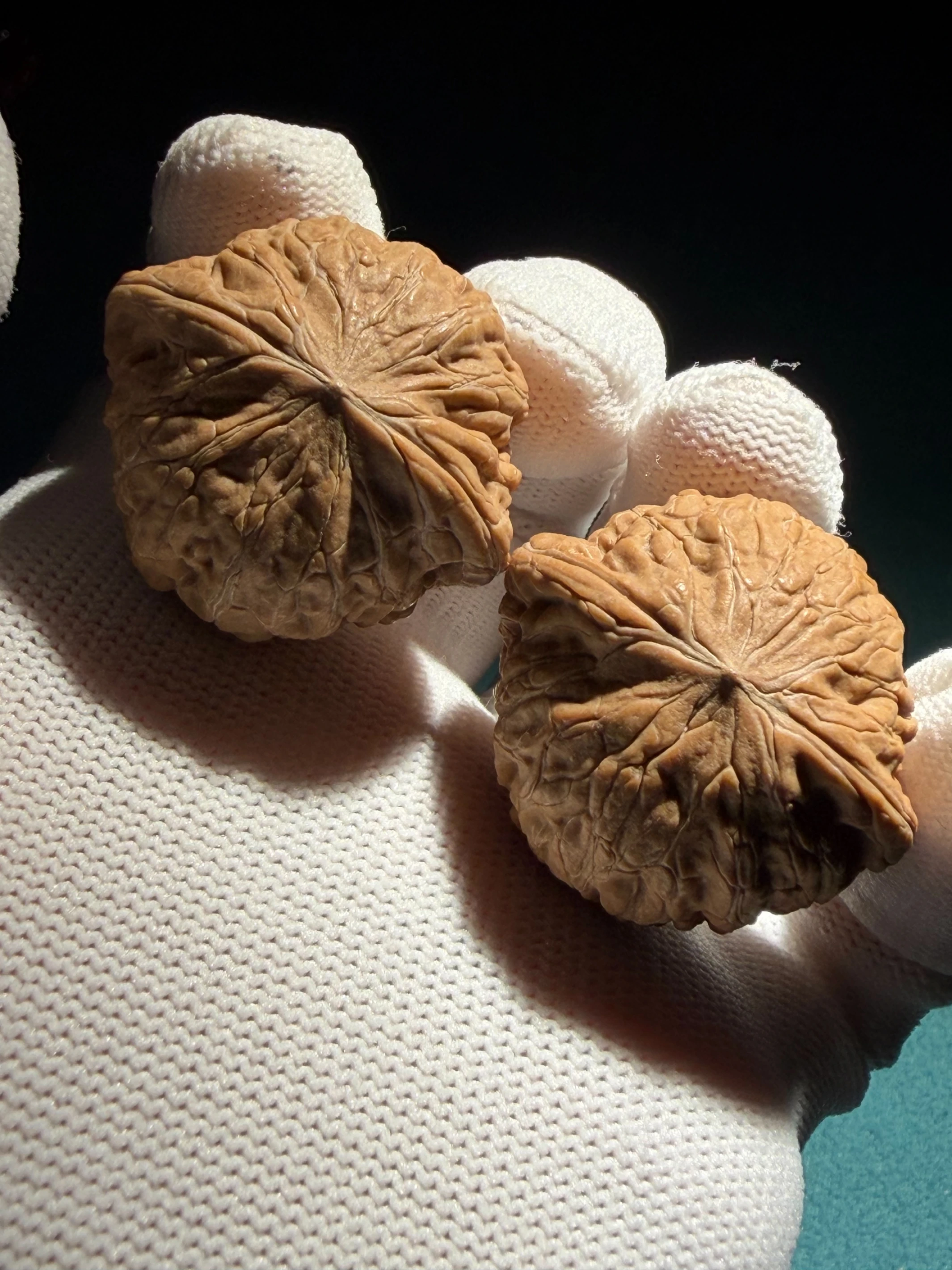 [ 上善文玩 ] 尺寸37/34/30｜ [ 全品 ] 頭貨·鐵錘｜克重31.6｜(tc253701)