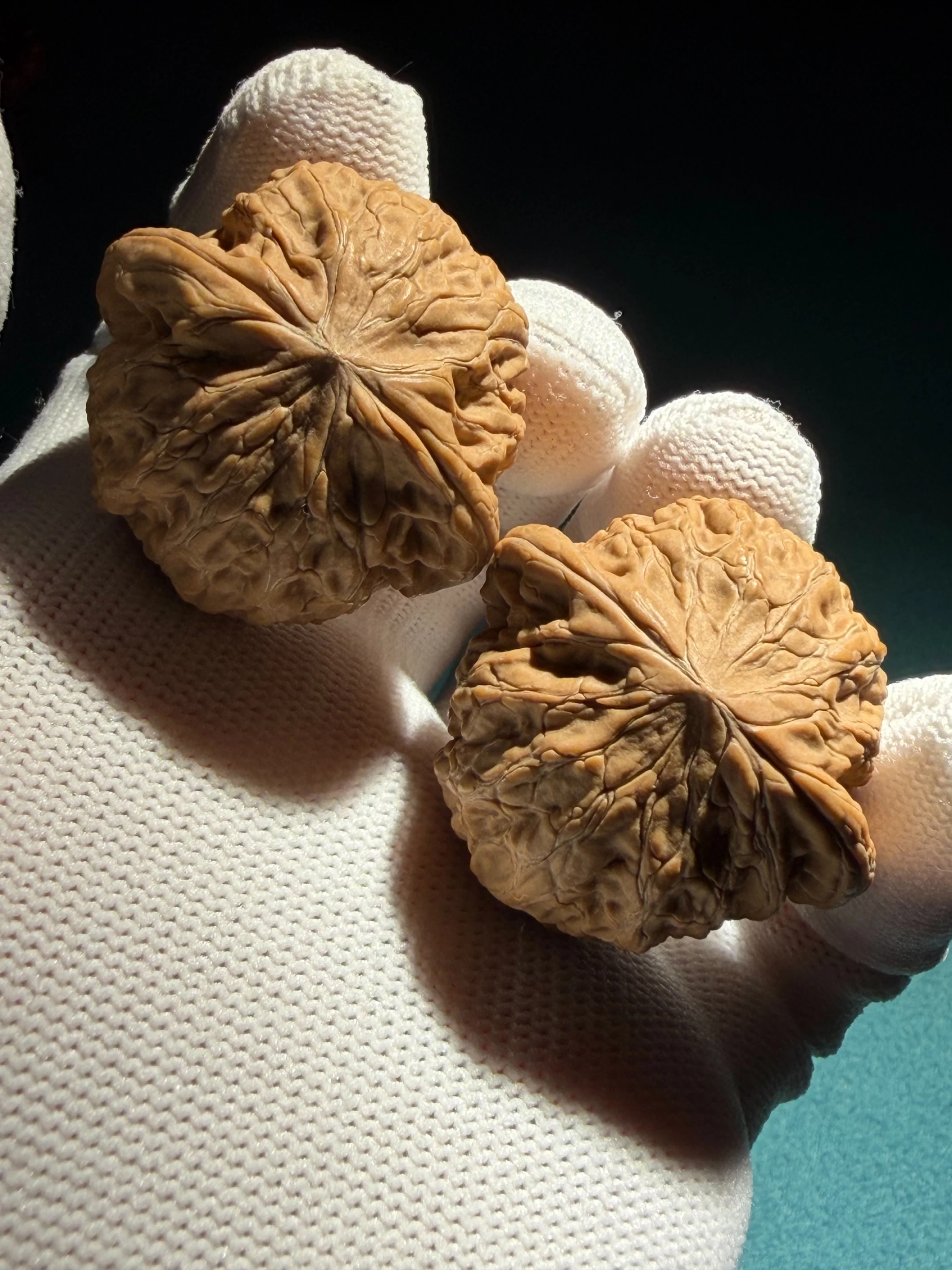 [ 上善文玩 ] 尺寸38/36/32｜ [ 全品 ] 頭貨·鐵錘｜克重31.4｜(tc253801)