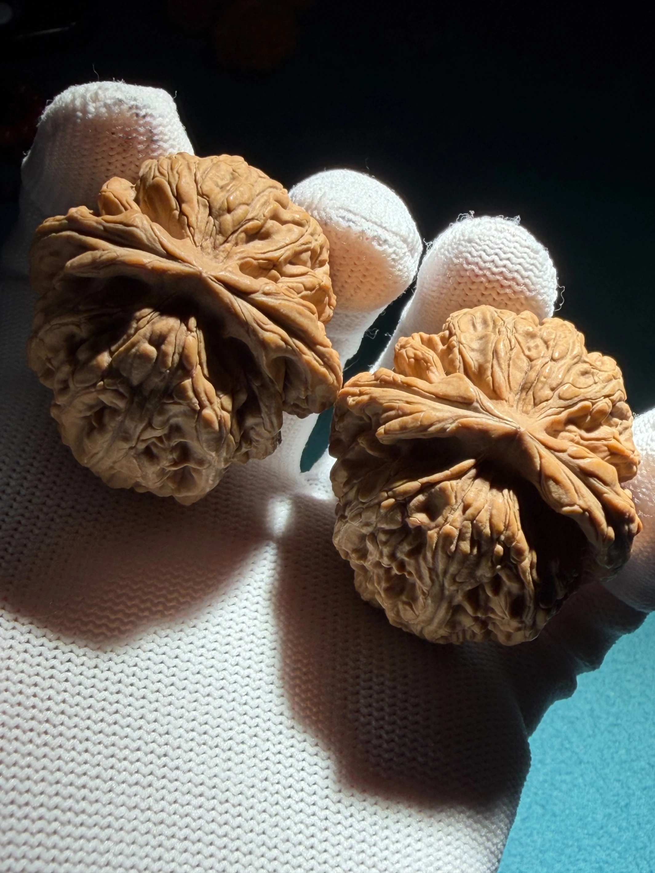 文玩堂：蝦蟇頭文玩胡桃 文玩核桃上善文玩工作室｜台灣文玩專賣店