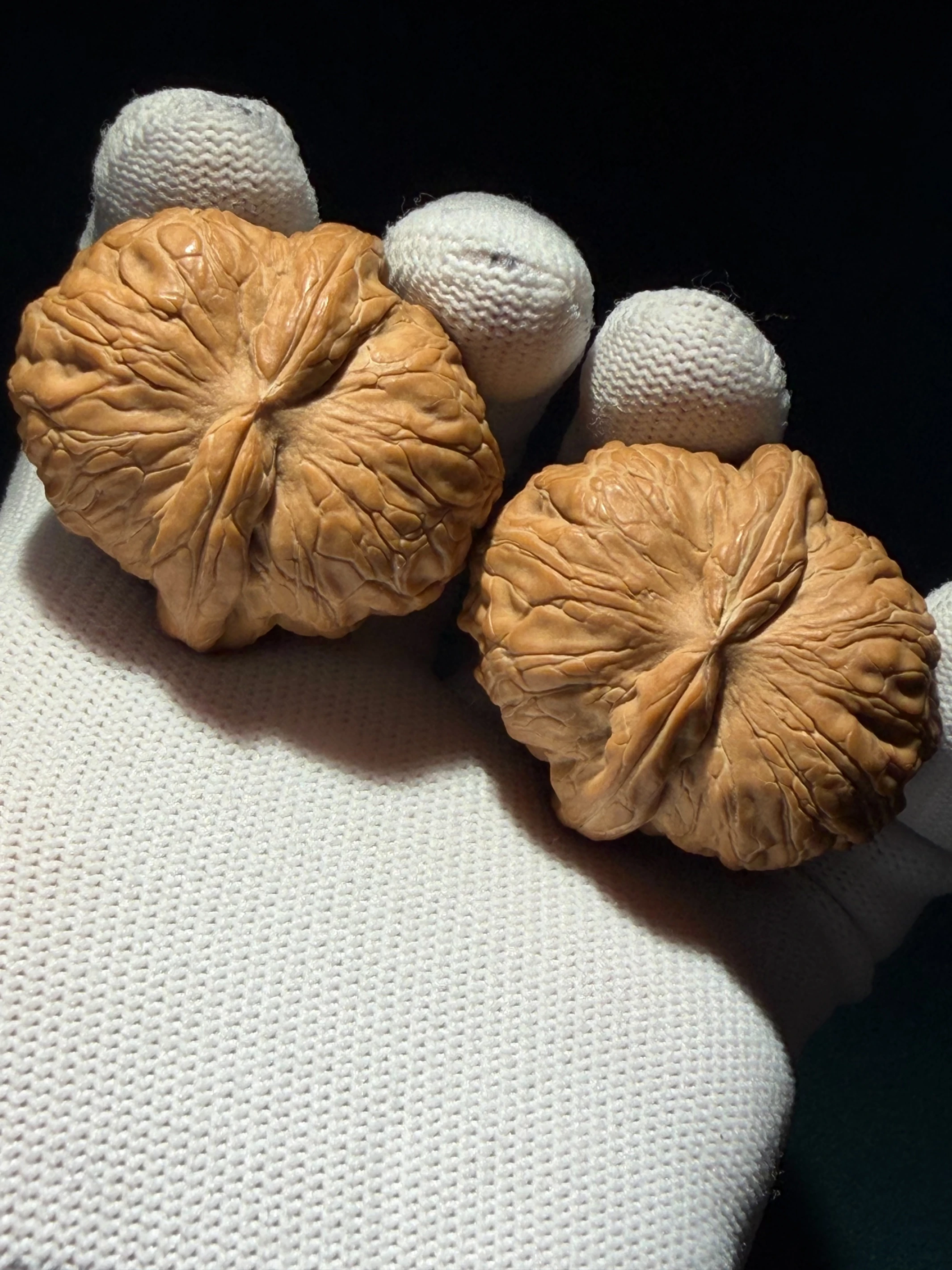 [ 上善文玩 ] 尺寸39/主43/31｜ [ 全品］平谷元寶｜克重41.6g｜(EC263901)