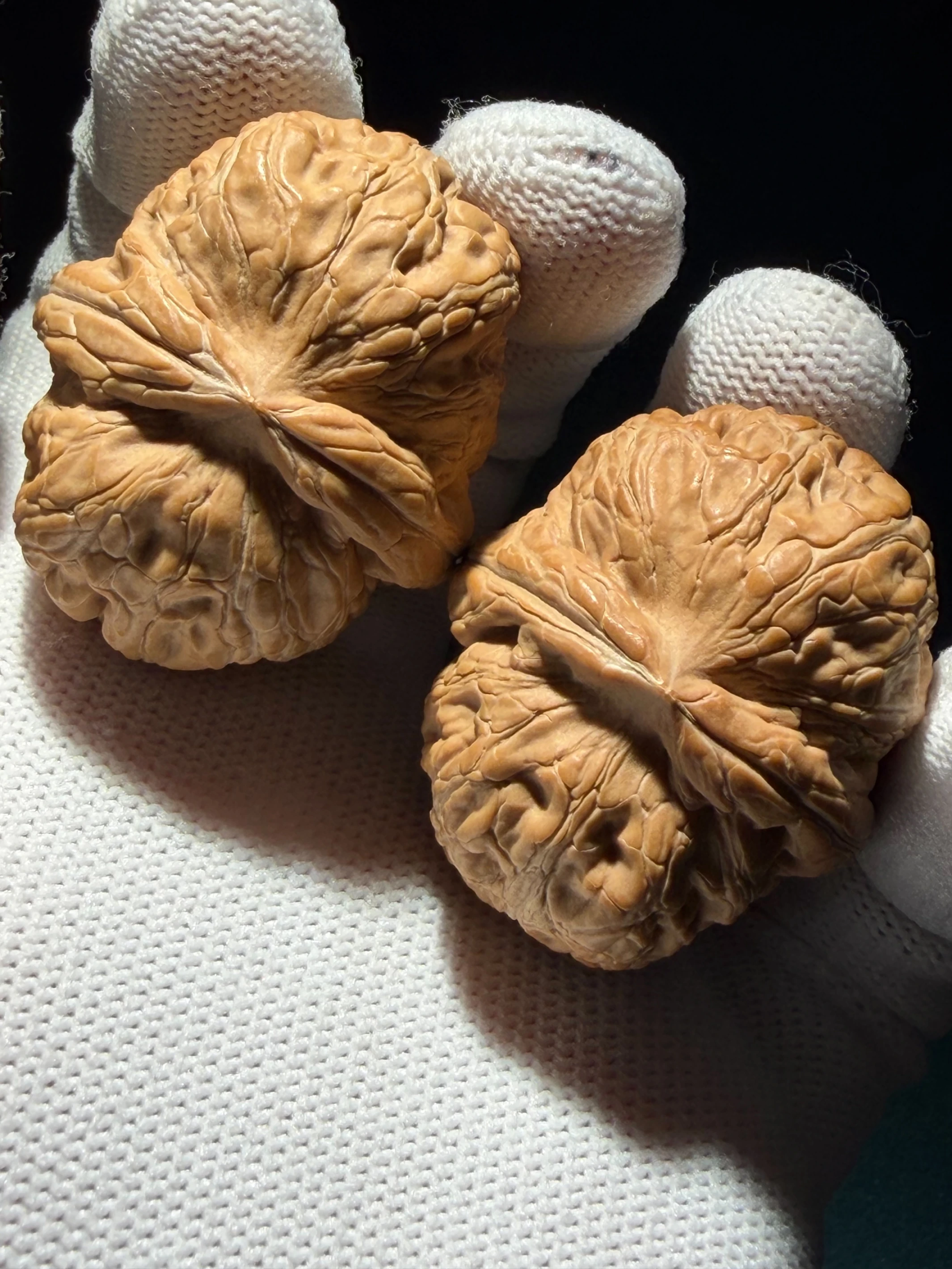 [ 上善文玩 ] 尺寸35/主41/32｜ [ 全品］平谷元寶｜克重38.7g｜(EC263501)
