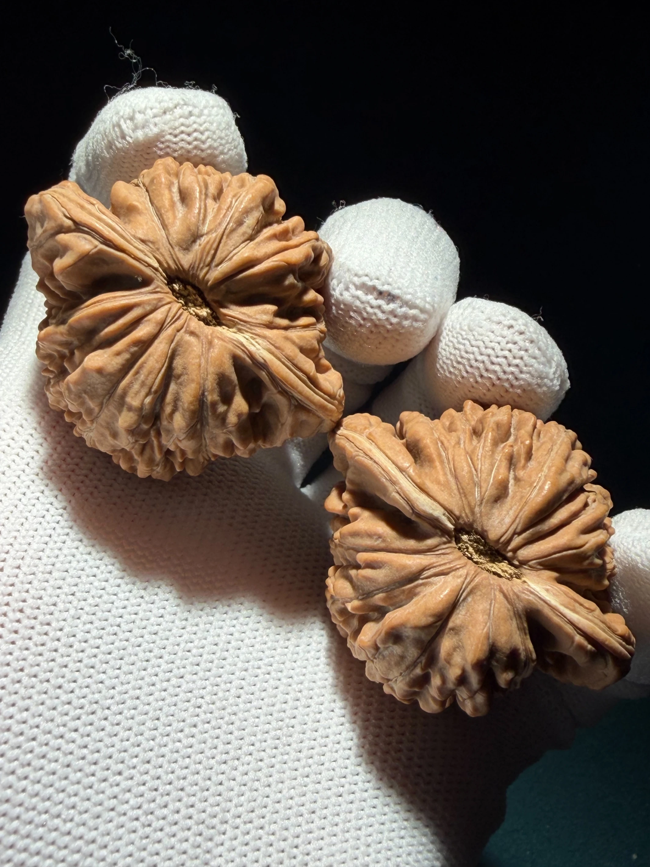 文玩核桃上善文玩工作室｜台灣文玩專賣店