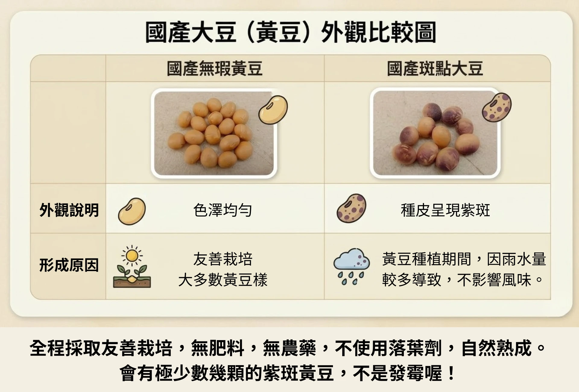 友善種植大豆比較圖
