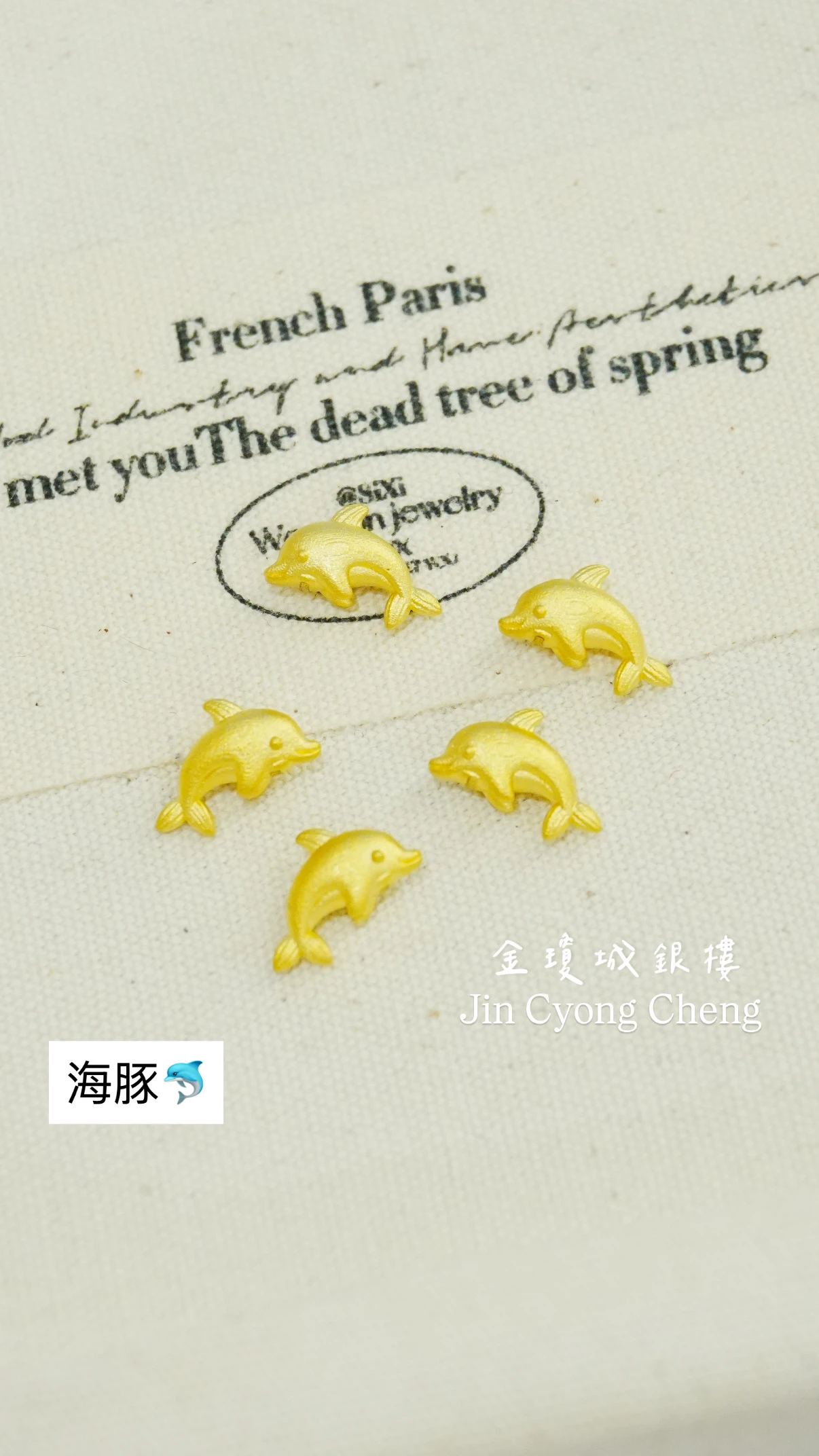金豆-海豚🐬