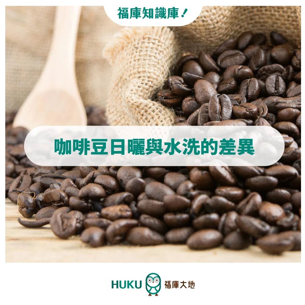 HUKU知識庫 ​/ 咖啡豆的日曬與水洗的差異