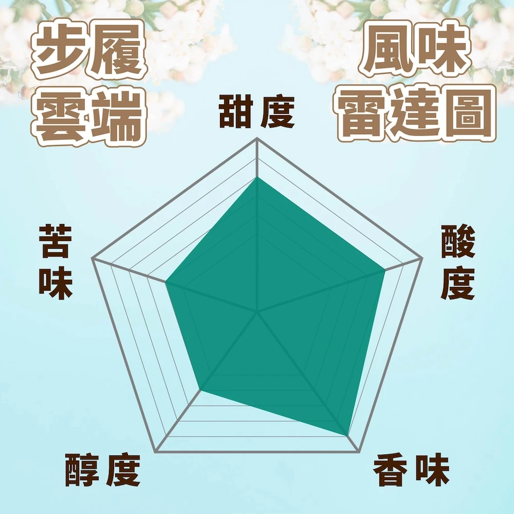 肯亞AA 精品咖啡豆 中淺焙 半磅 咖啡豆 步履雲端