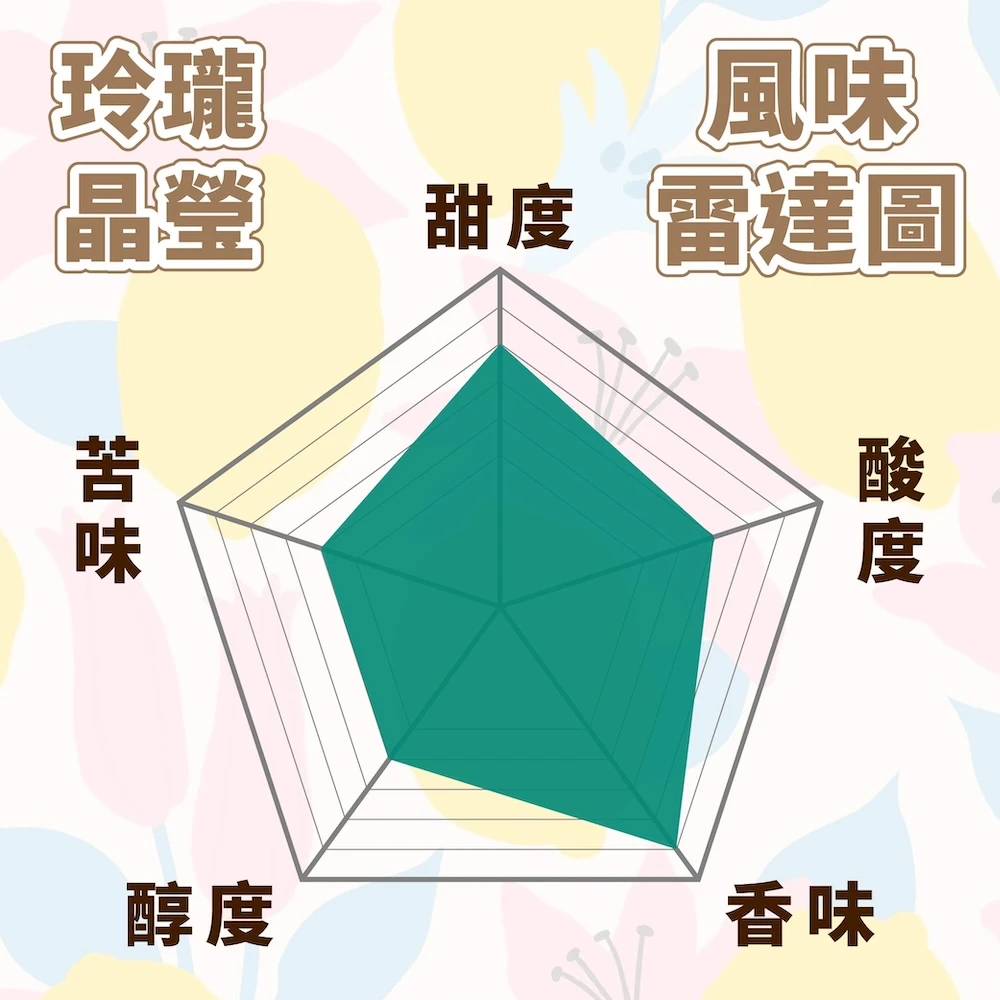 耶加雪菲G1 咖啡豆 半磅 淺烘焙 玲瓏晶瑩