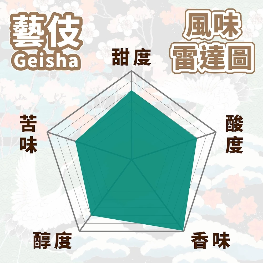 精品咖啡豆 衣索比亞 瑰夏 藝妓 G1 淺焙 半磅 225g 金雷娜莊園 日曬