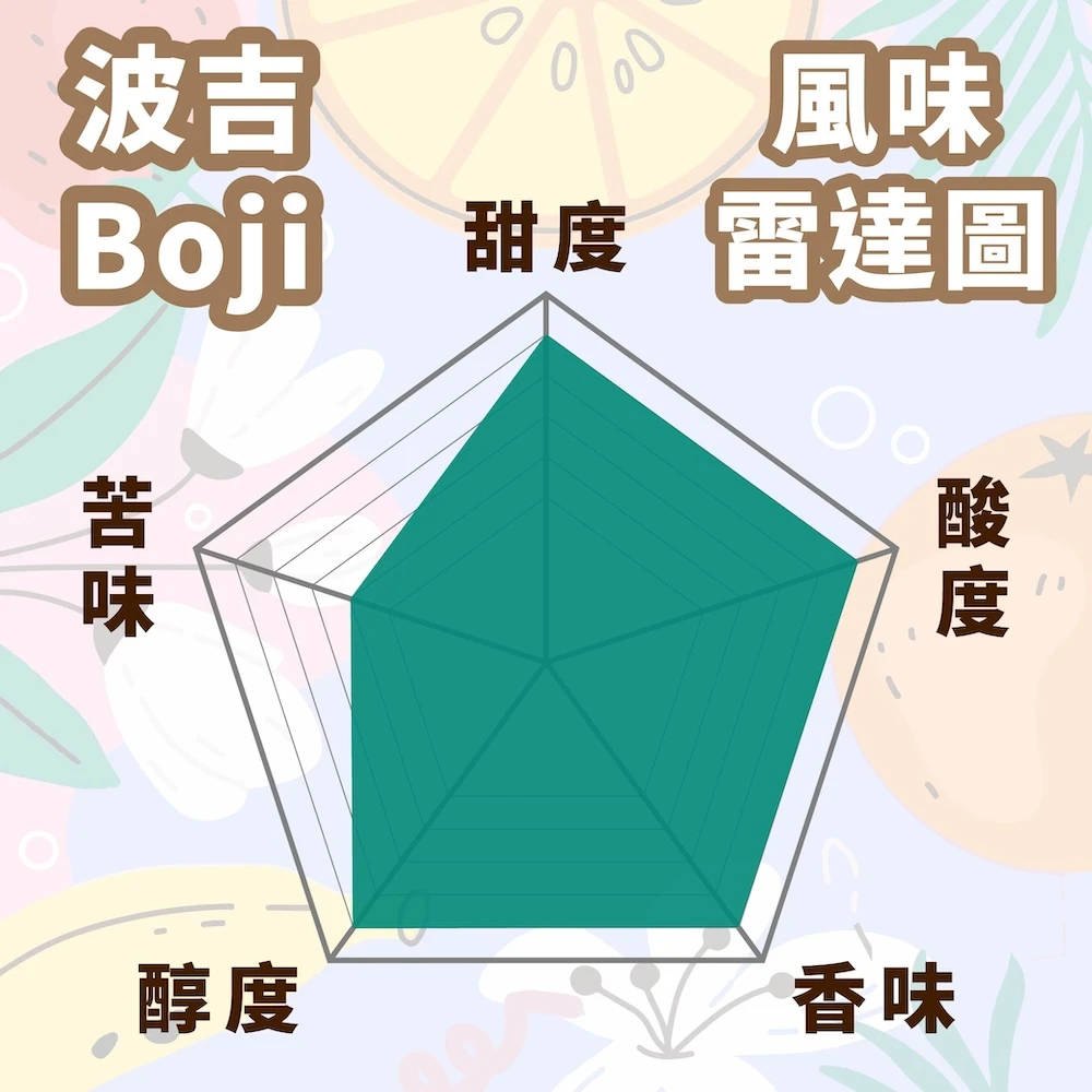 衣索比亞 耶加雪菲 G1 波吉莊園 Boji Estate 精品咖啡豆 半磅裝 日曬