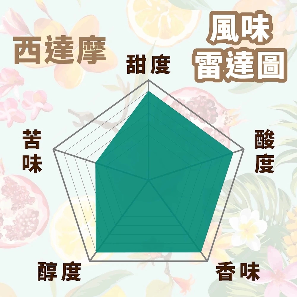 精品咖啡豆 西達摩 G1 科契爾處理廠 半磅裝 衣索比亞 水洗處理