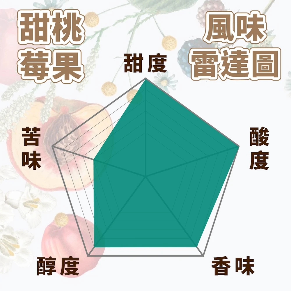 <衣索比亞> 西達摩 精品咖啡豆 甜桃莓果 Premium(頂優級) 中淺焙 一磅 450g