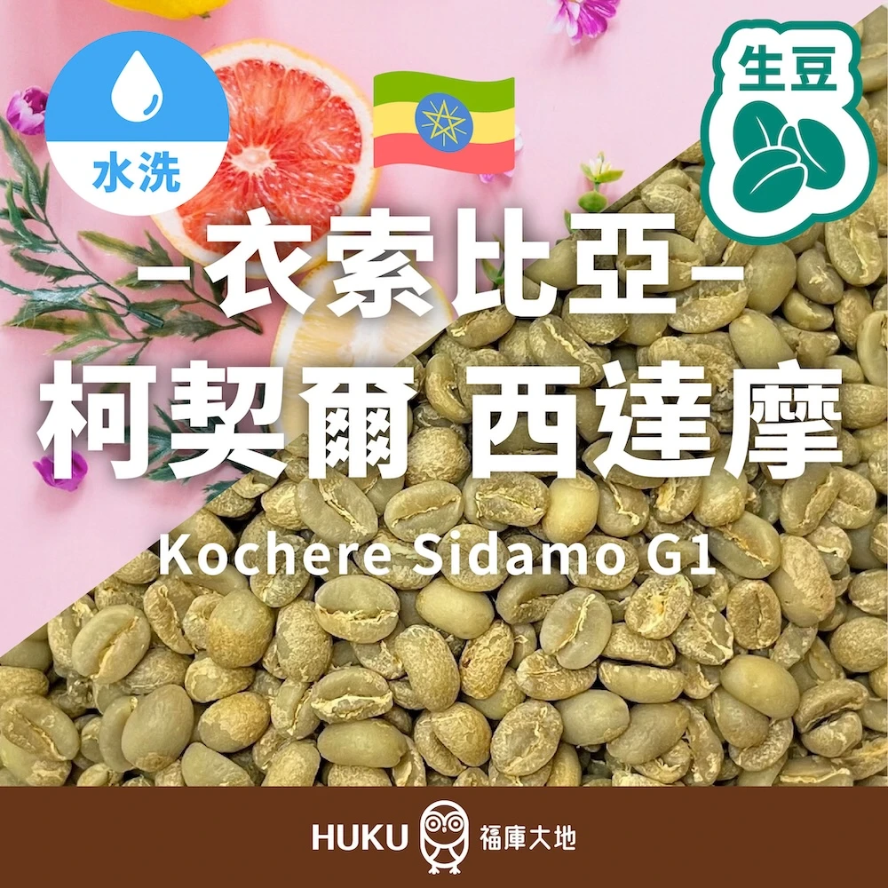 衣索比亞 西達摩 科契爾 G1 生豆 咖啡豆 | 水洗處理