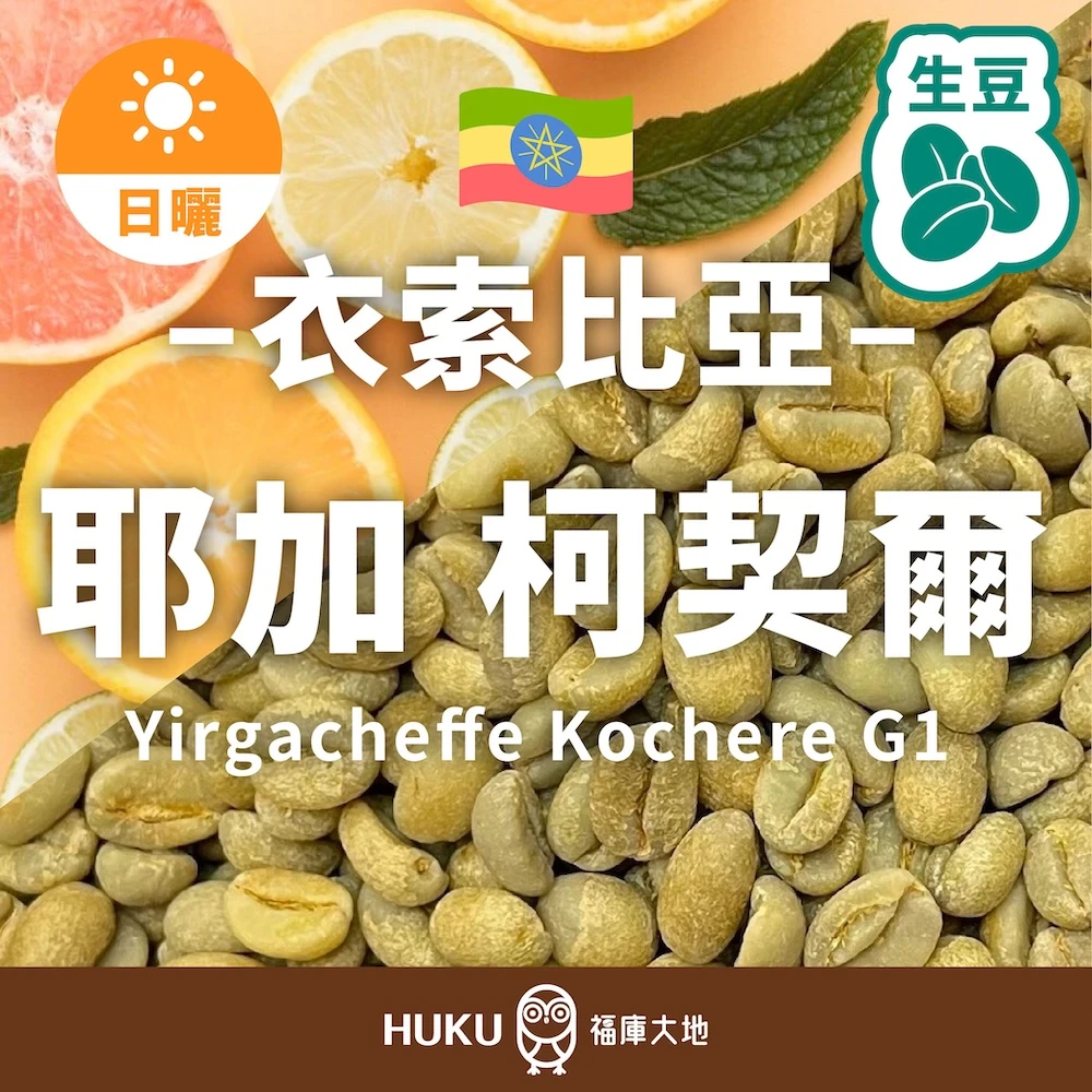 衣索比亞 耶加雪菲 柯契爾 G1 生豆 咖啡豆 | 日曬處理