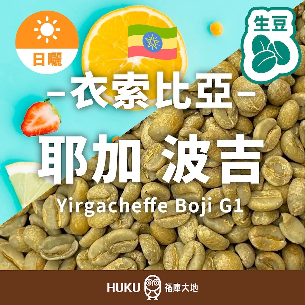 衣索比亞 耶加雪菲 波吉 G1 生豆 咖啡豆 | 日曬處理