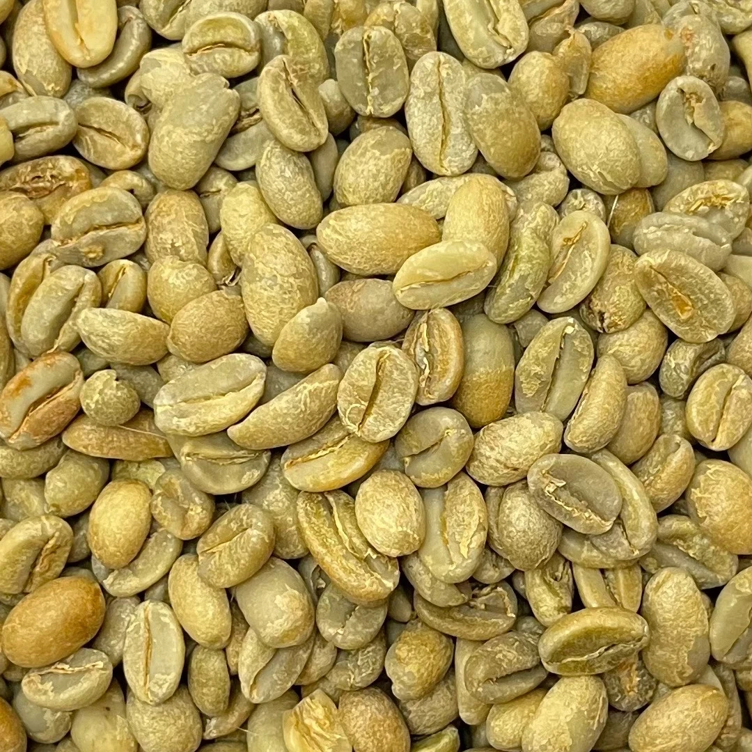 衣索比亞 西達摩 Premium 生豆 咖啡豆 | 日曬處理