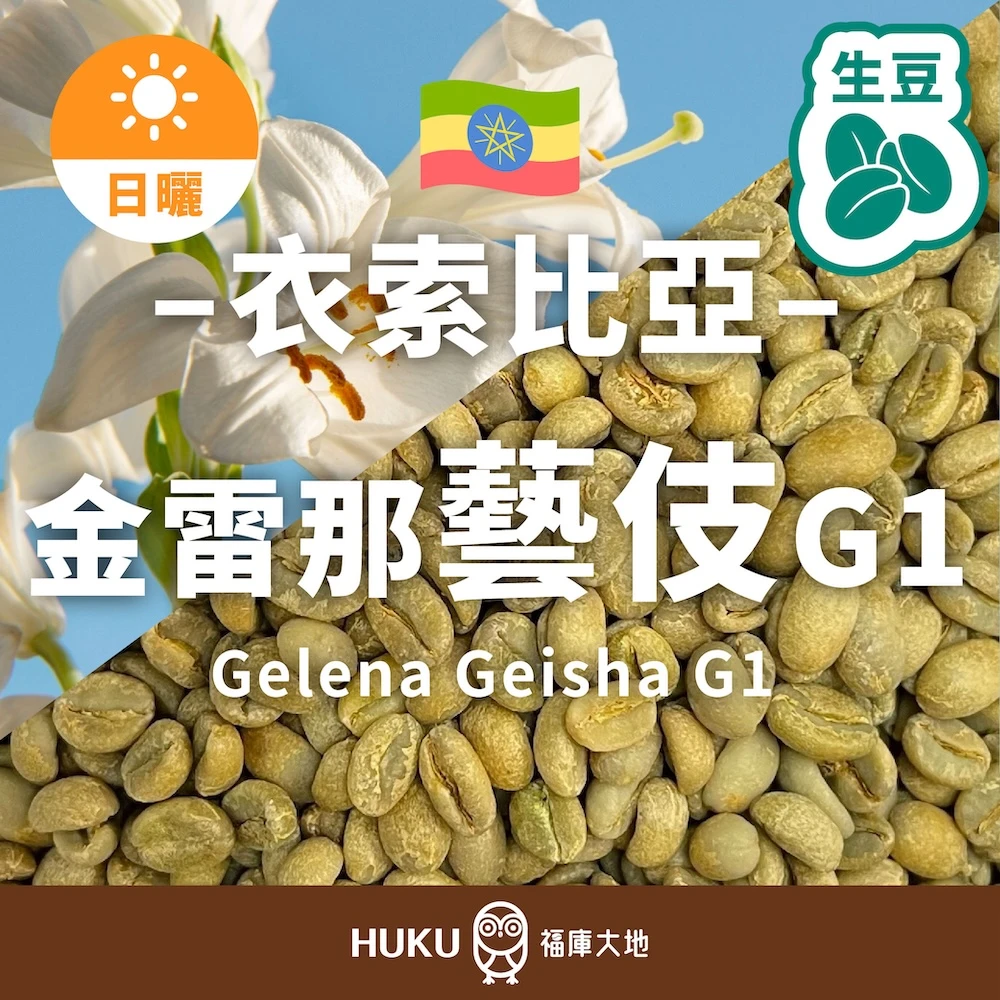 衣索比亞 藝伎 金雷那 G1 生豆 咖啡生豆 | 日曬處理 格蕾娜莊園