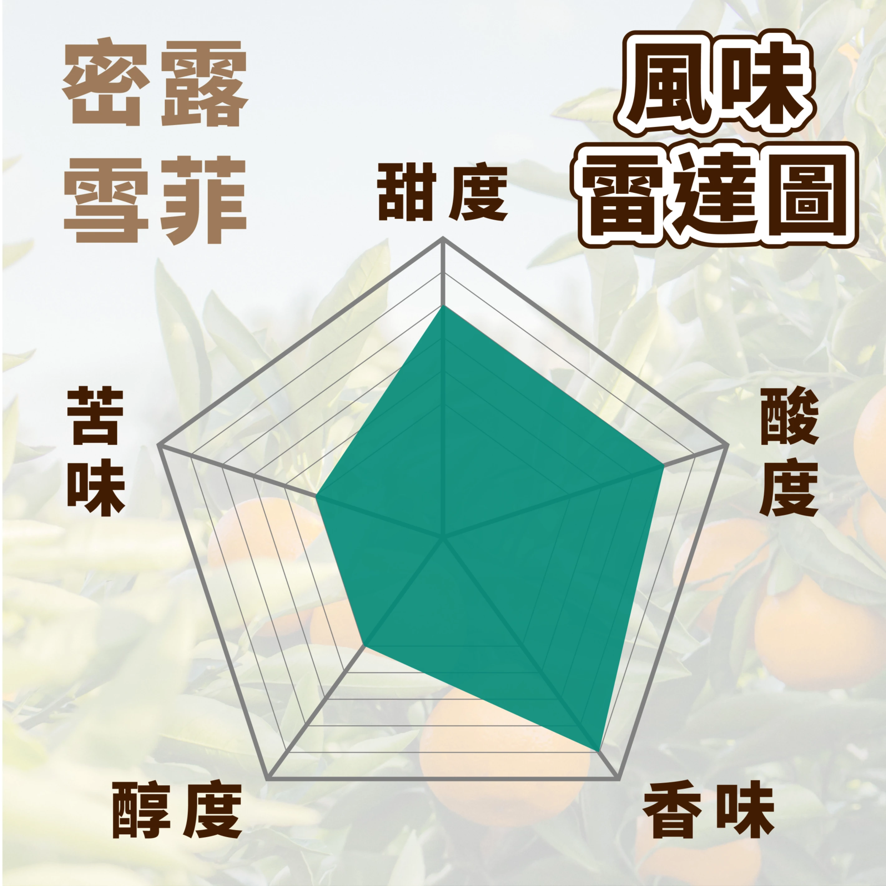 精品咖啡豆 蜜露雪菲 Premium｜中淺焙 一磅 450g
