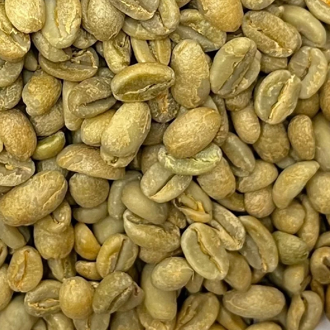 衣索比亞 藝伎 貝爾藍山 Bale Blue Mountain Premium精選等級 咖啡生豆 1.5公斤 | 日曬處理