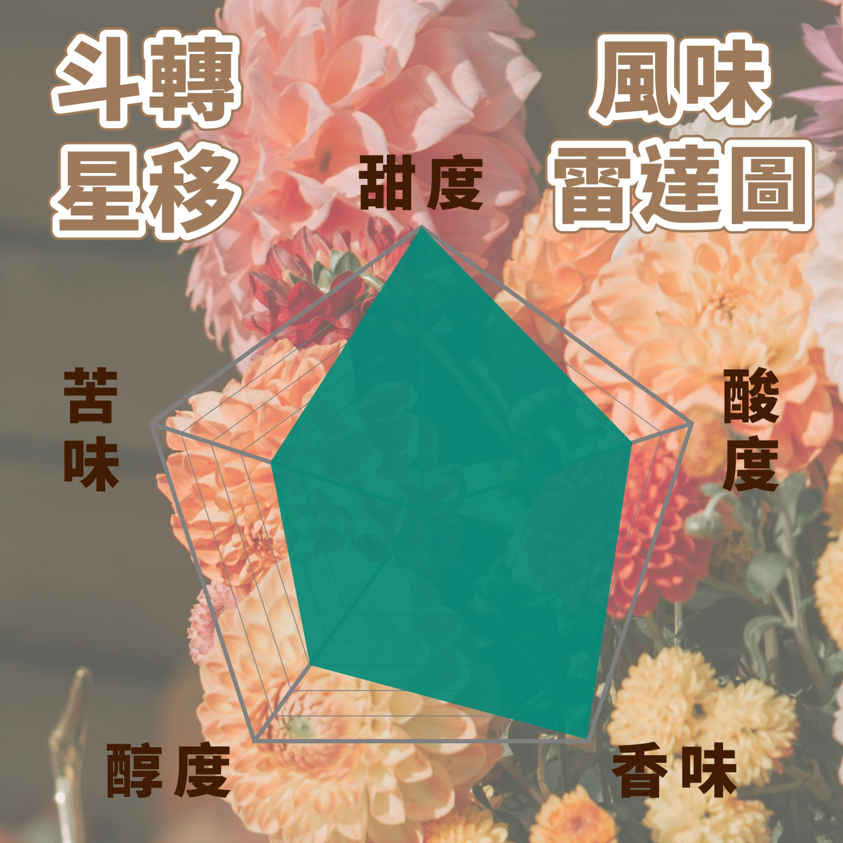 精品咖啡豆 格拉莊園 菲奧莉塔 G1｜中淺焙 半磅 225g