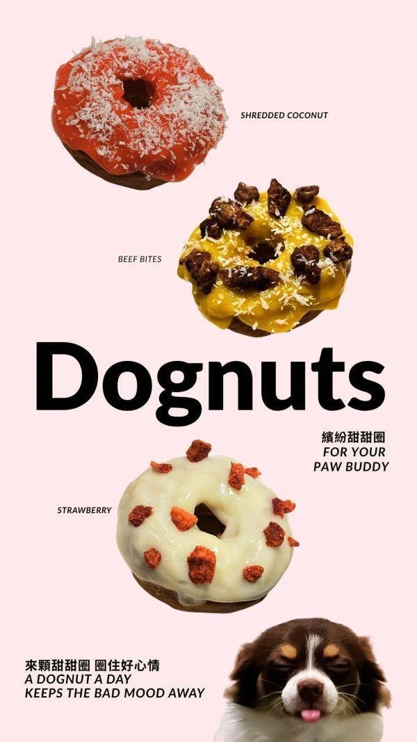 Dognut！寵物甜甜圈-3入組 (常溫)