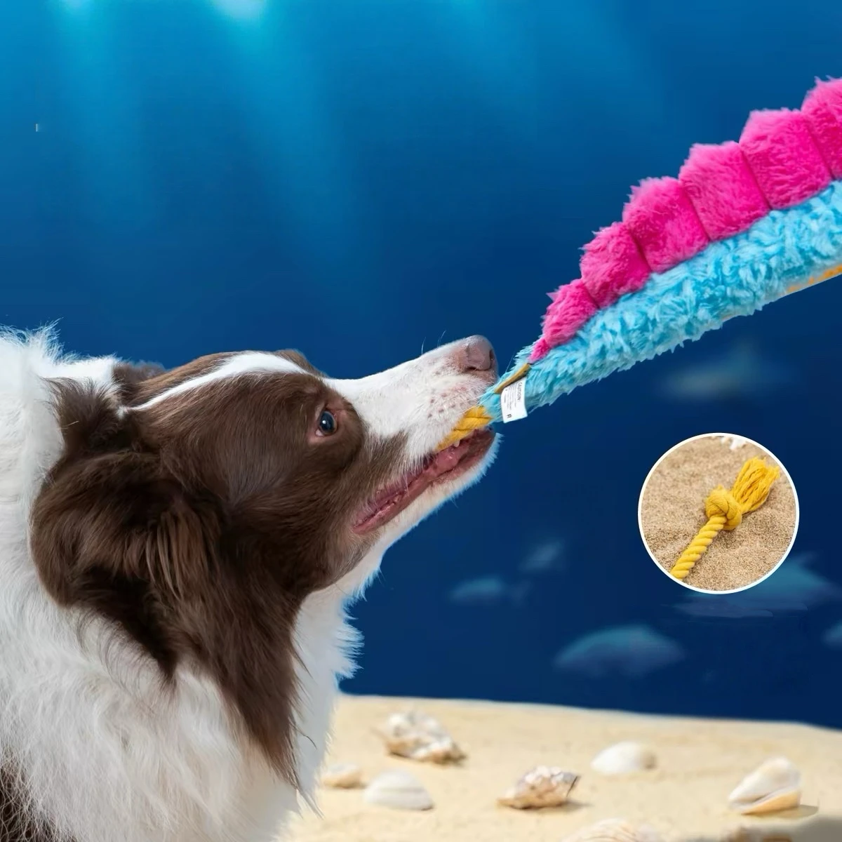 彩虹扭扭帶魚