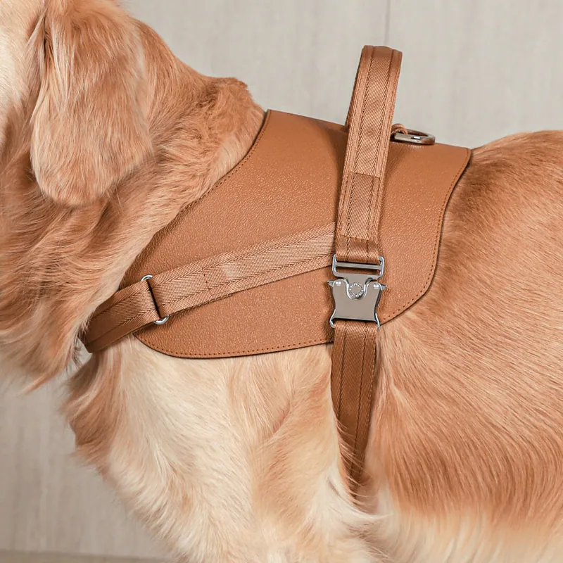Saddle Harness | Savino Grain Leather 大馬鞍-荔枝紋皮革版