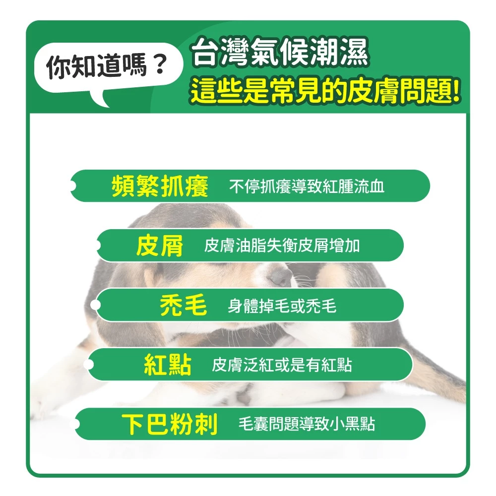 毛孩時代 皮膚專科益生菌（30入）