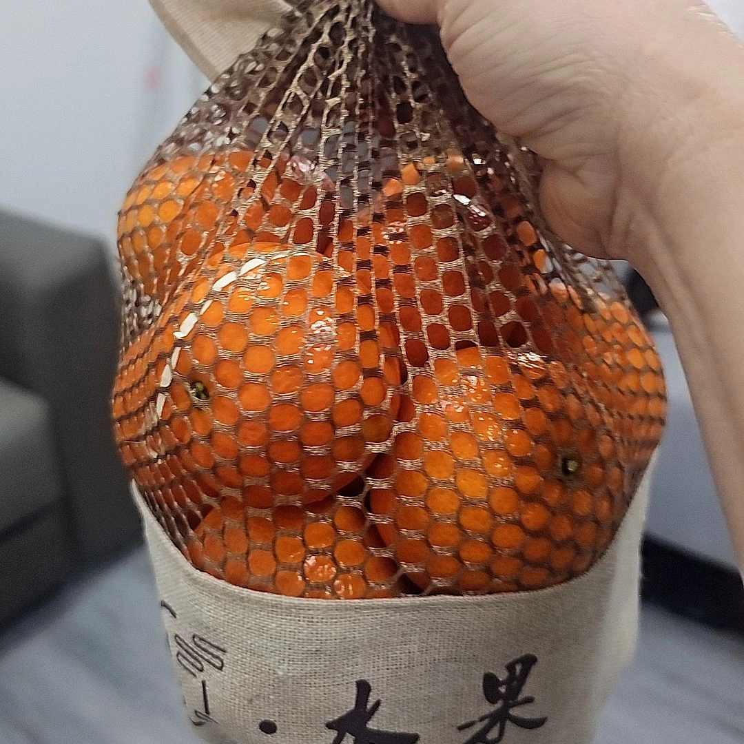 澳洲砂糖橘