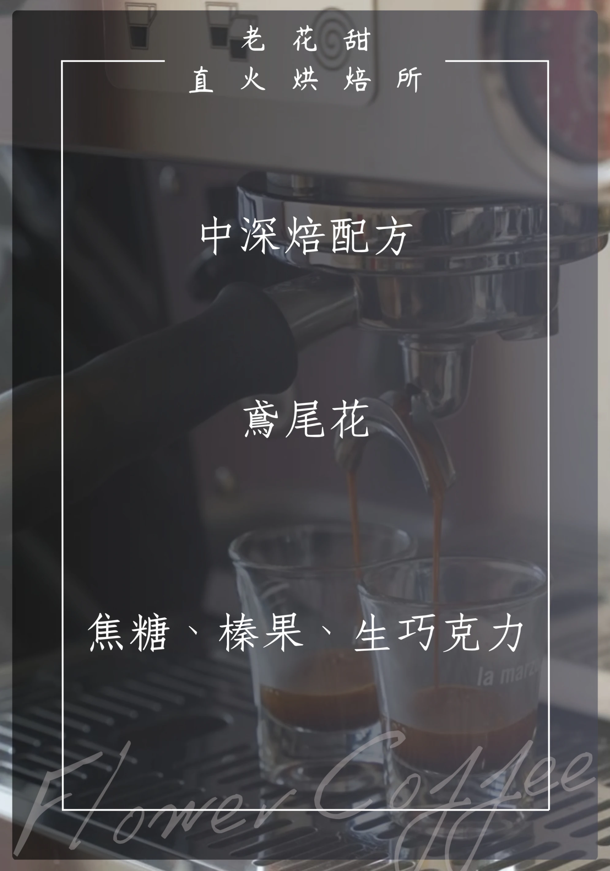 中深焙配方|鳶尾花配方