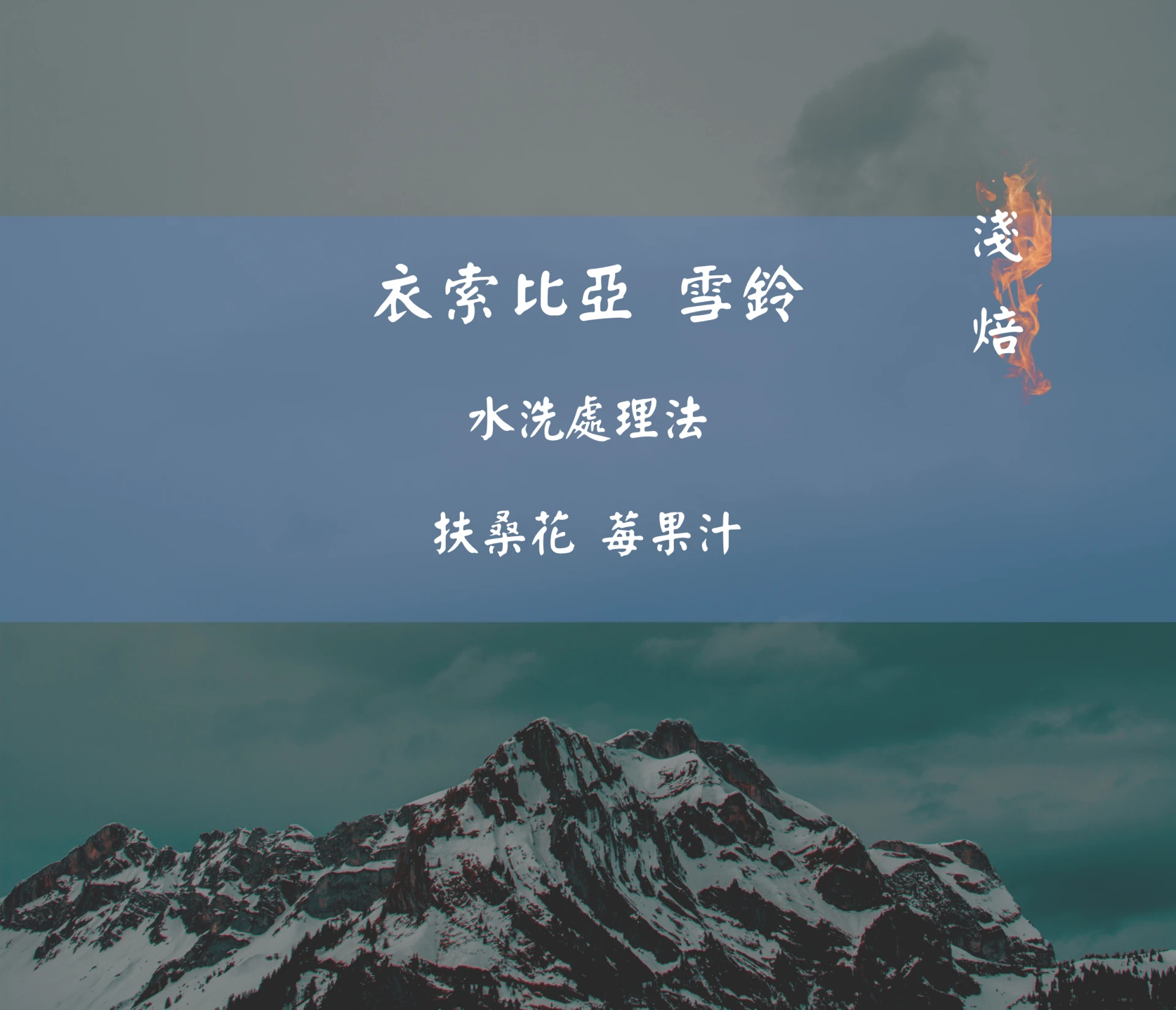 衣索比亞 | 雪鈴
