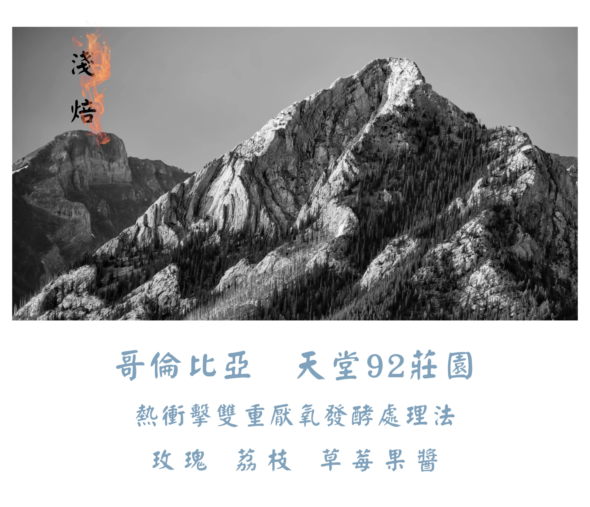 哥倫比亞  | 天堂92莊園