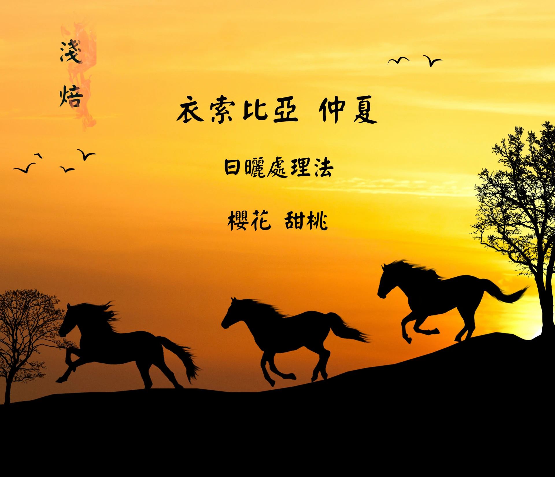 衣索比亞|仲夏