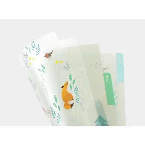MIDORI｜北歐森林分隔資料夾A4/A5