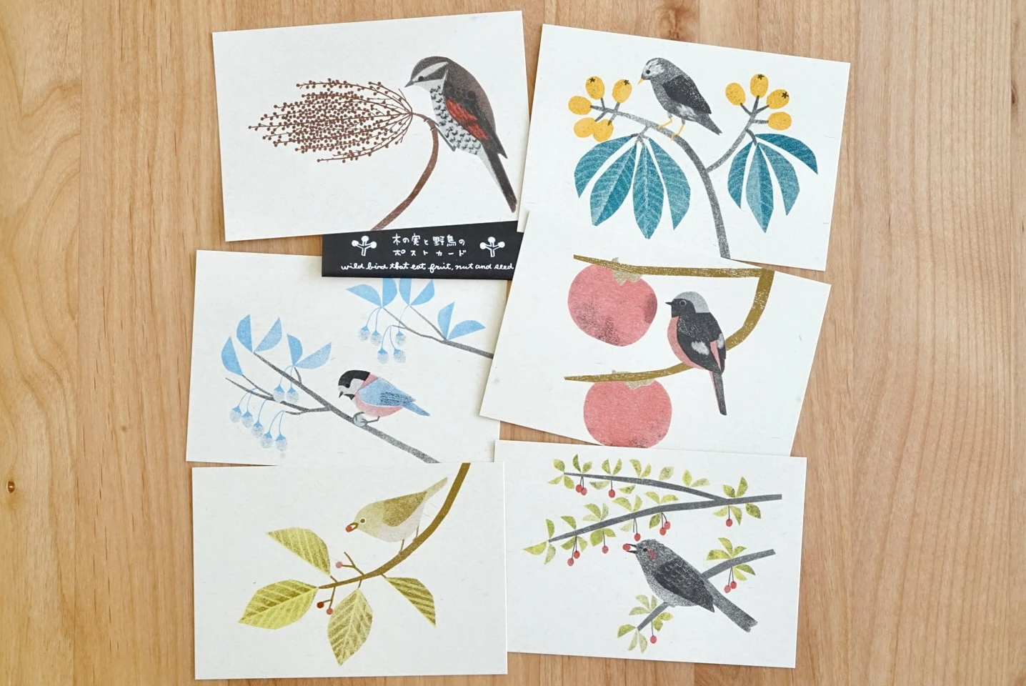 itsuko naka｜野鳥與果實明信片6入組合