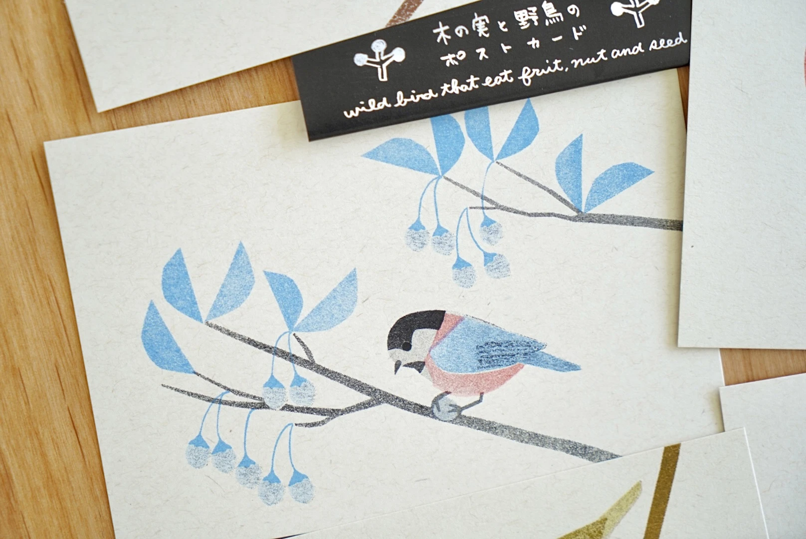 itsuko naka｜野鳥與果實明信片6入組合